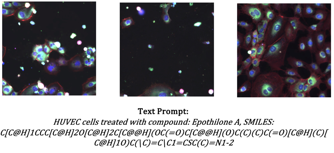 First research result visualization
